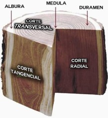 31757586731_0439686fc3_z